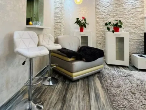 Rent, one bedroom apartment, 63m², Igalo, Herceg Novi - image 7