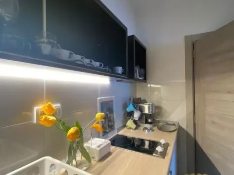 Rent, one bedroom apartment, 34m², Slavija, Vračar Sve Podlokacije - image 3