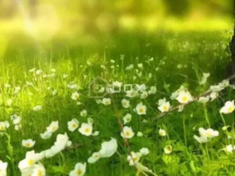 Sale, land lot, 3228m², Niš, Srbija