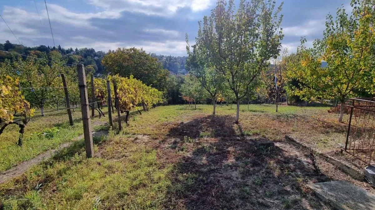 Prodaja, plac, 3000m², Sremska Kamenica, Petrovaradin