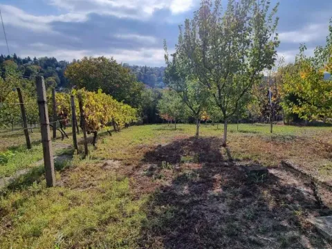 Prodaja, plac, 3000m², Sremska Kamenica, Petrovaradin - image 12