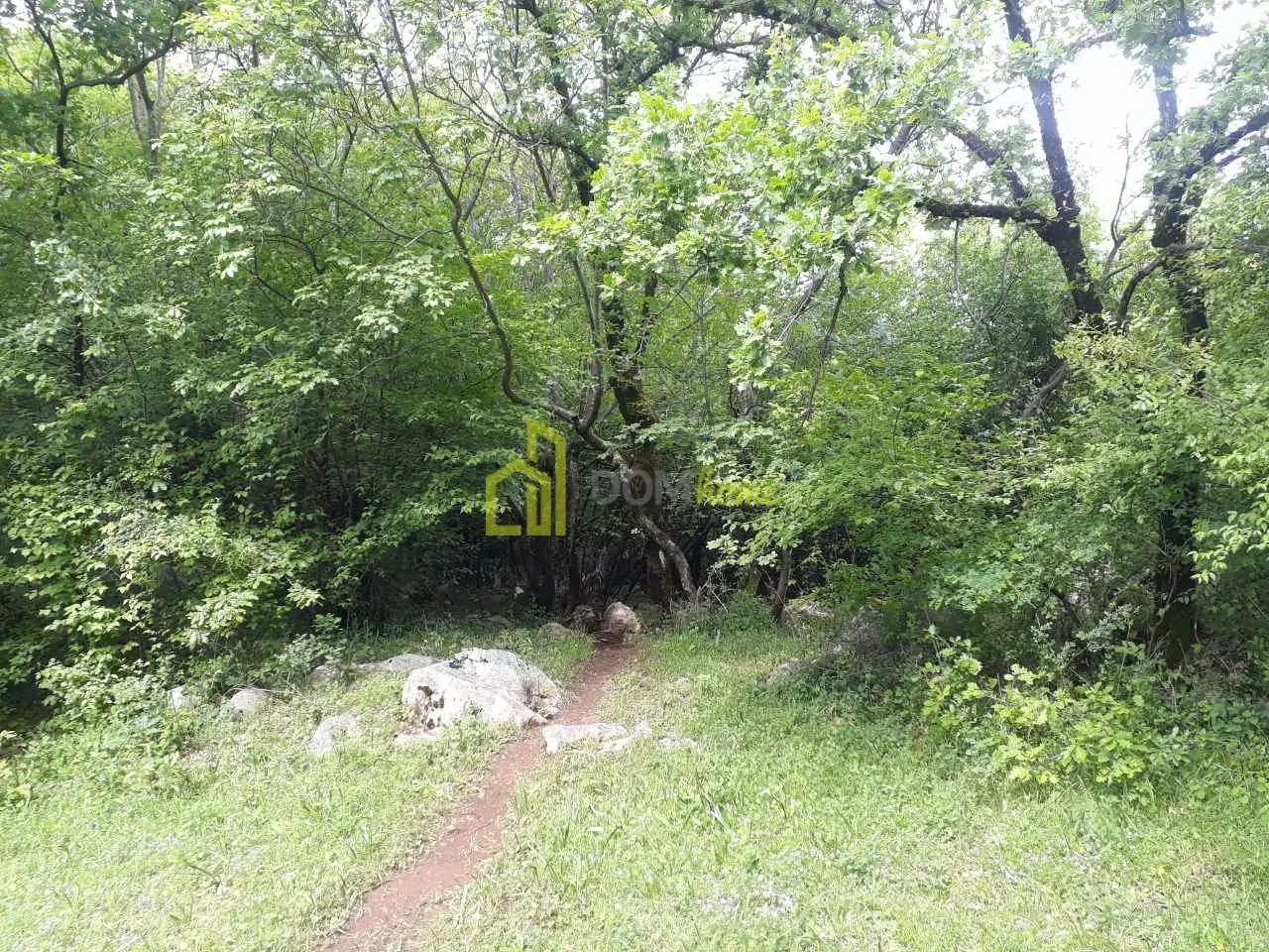 Prodaja, plac, 42349m², Zagreda, Danilovgrad