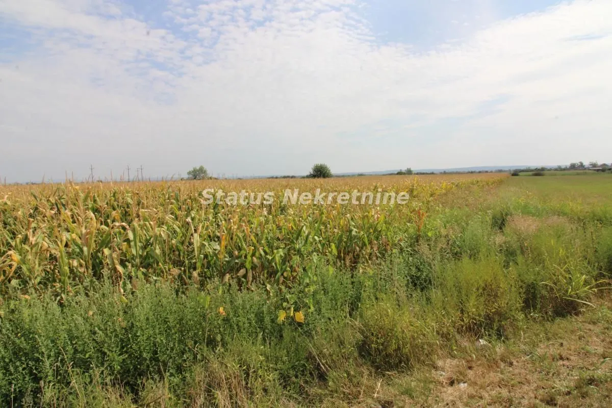 Prodaja, plac, 921300m², Bela Palanka, Srbija