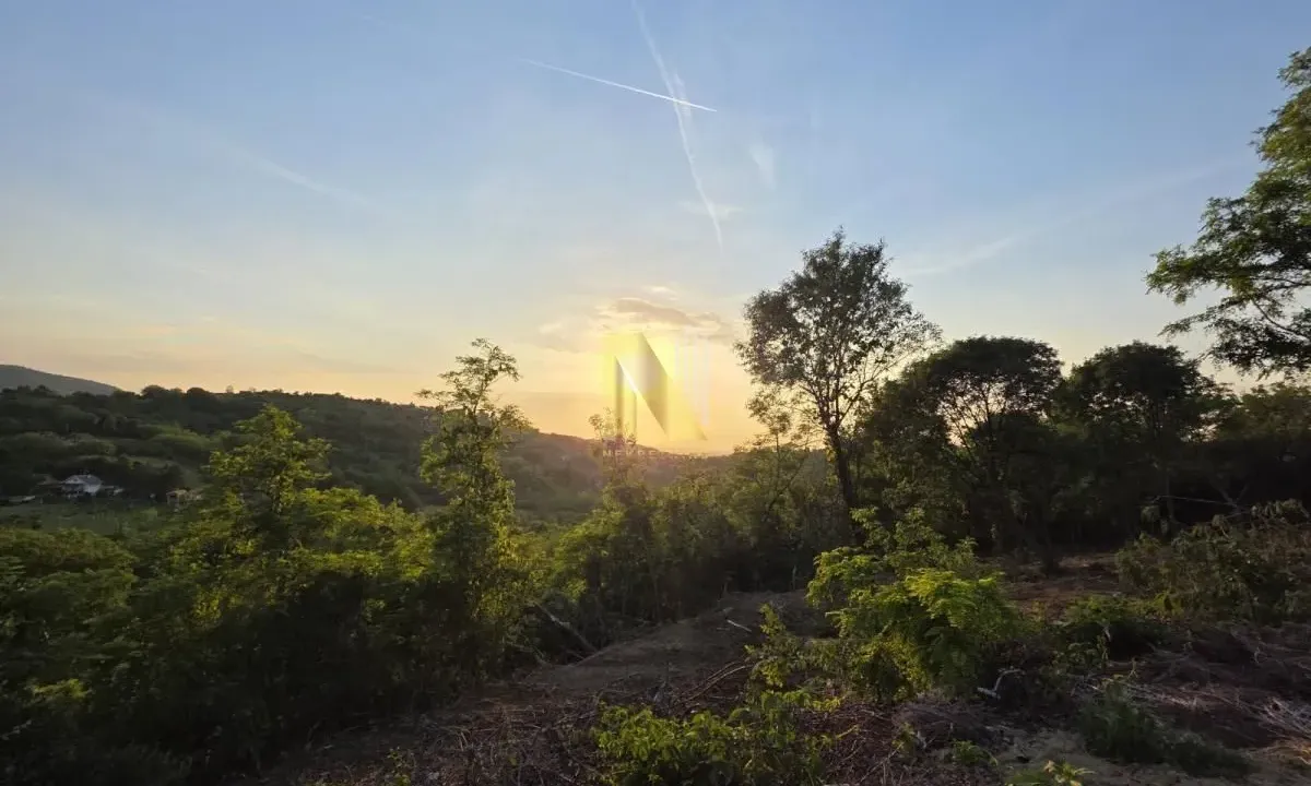 Sale, land lot, 3900m², Sremska Kamenica, Petrovaradin