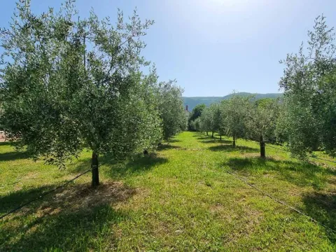 Izdavanje, kuća, 75m², Lastva Grbaljska, Kotor - image 20