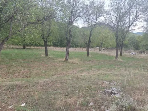 Zemljište in Grahovo