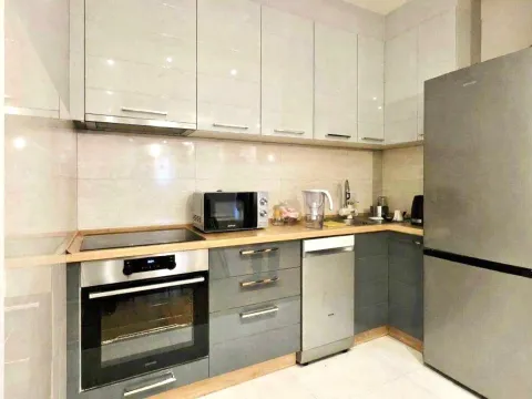 Izdavanje, jednosoban stan, 50m², Central Point, Podgorica - image 5