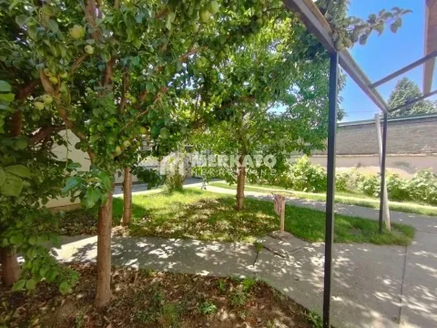 Prodaja, kuća, 170m², Zeleno Polje, Zrenjanin - image 20