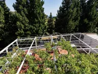 Sale, hospitality venue, 360m², Zagrađe, Bar - image 12