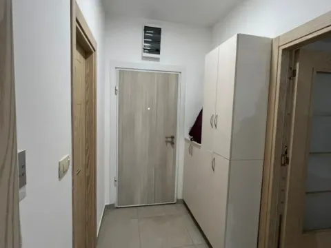 Izdavanje, jednosoban stan, 45m², Blok 9, Podgorica - image 7
