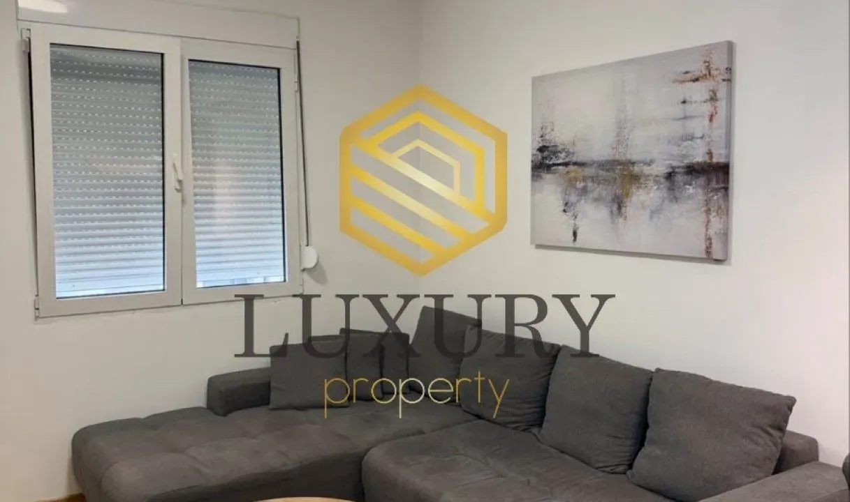 Rent, one bedroom apartment, 40m², Blok 6, Podgorica