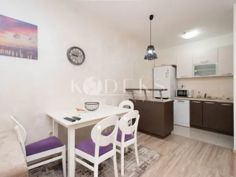 Izdavanje, jednosoban stan, 45m², City Kvart, Podgorica - image 3