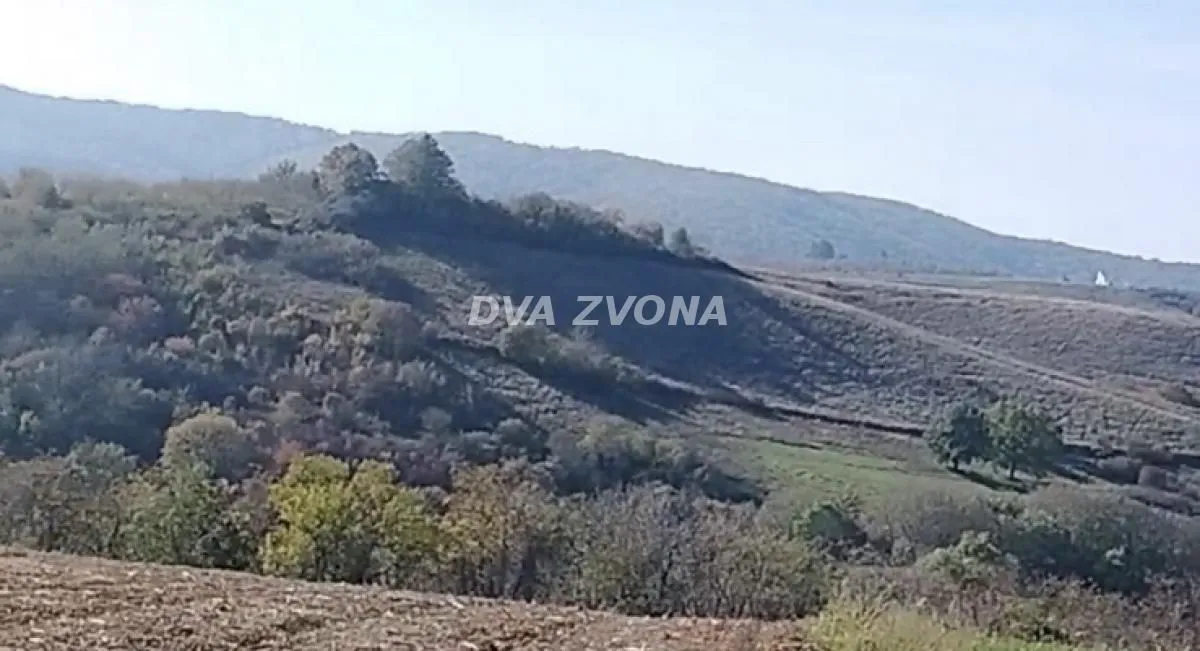 Prodaja, plac, 4500m², Sremski Karlovci, Novi Sad