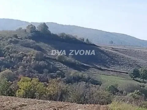 Sale, land lot, 4500m², Sremski Karlovci, Novi Sad - image 5