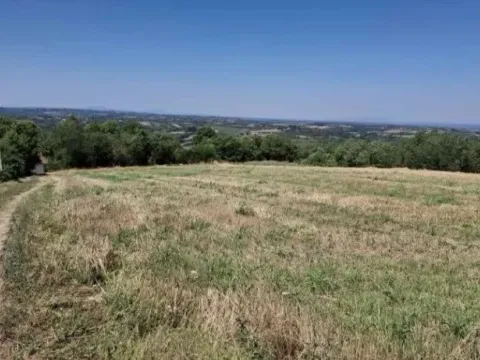 Sale, land lot, 10800m², Baničina, Smederevska Palanka - image 4