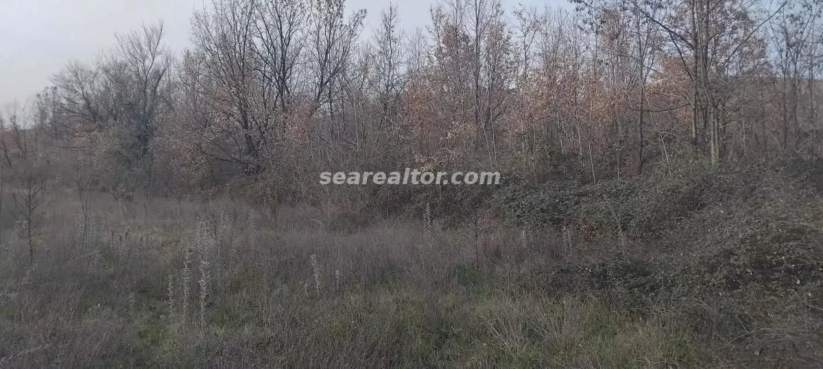 Prodaja, plac, 2386m², Dajbabe, Podgorica