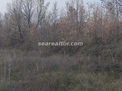 Prodaja, plac, 2386m², Dajbabe, Podgorica - image 6