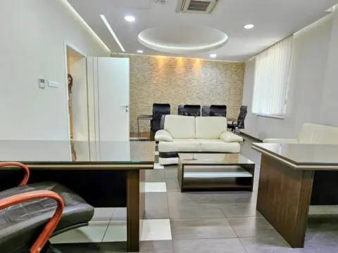 Rent, office space, 318m², Profesorska Kolonija, Palilula Sve Podlokacije - image 4