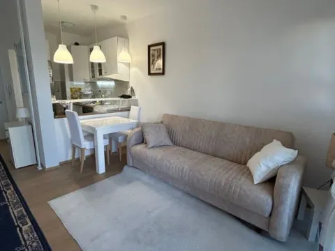 Izdavanje, dvosoban stan, 40m², Donji Dorćol, Dorćol Sve Podlokacije - image 9