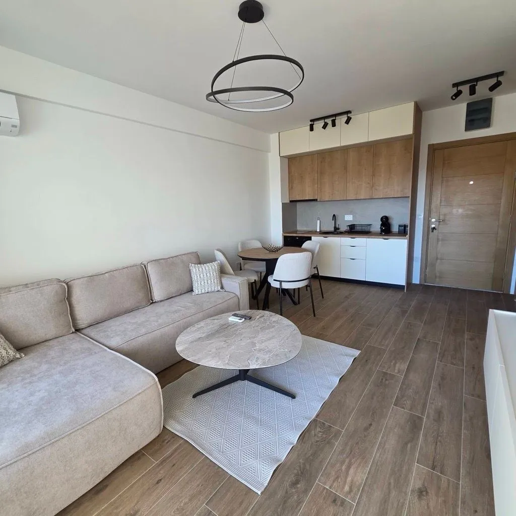 Modern living room connected with the dining area and kitchen.