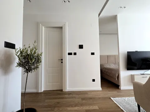 Daily-rent, studio apartment, 35m², Donja Gorica, Podgorica - image 10