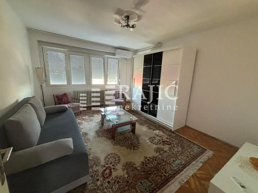 Furnished living room with a sofa, rug, and a large wardrobe.