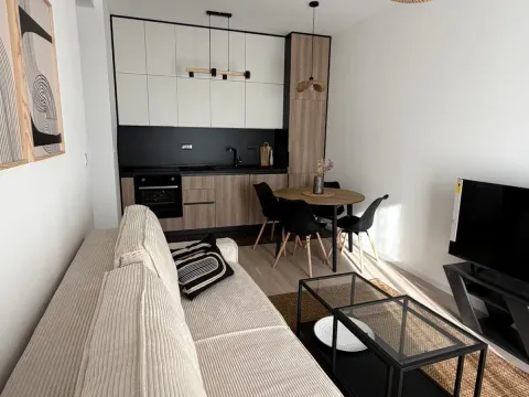 Izdavanje, jednosoban stan, 37m², Tološi, Podgorica - image 4