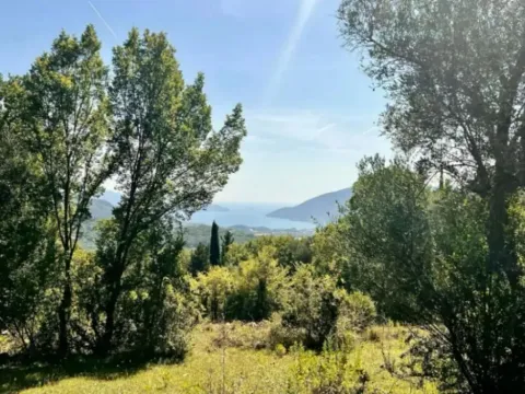 Prodaja, plac, 9800m², Herceg Novi, Crna Gora