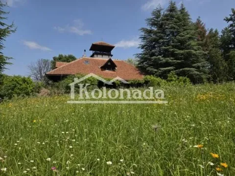 Sale, house, 250m², Babe, Sopot - image 6