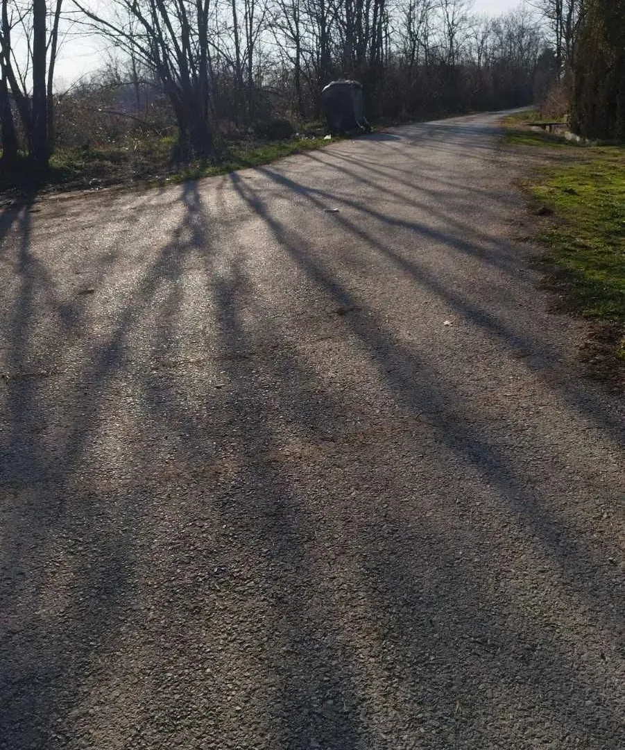 Prodaja, plac, 4141m², Veliki Borak, Barajevo