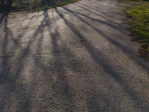 Prodaja, plac, 4141m², Veliki Borak, Barajevo - image 16