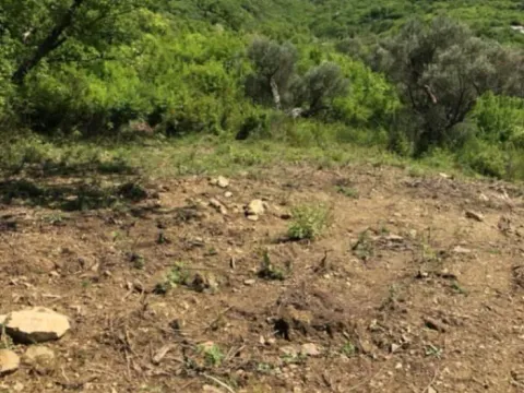 Sale, land lot, 4889m², Župci, Bar - image 8