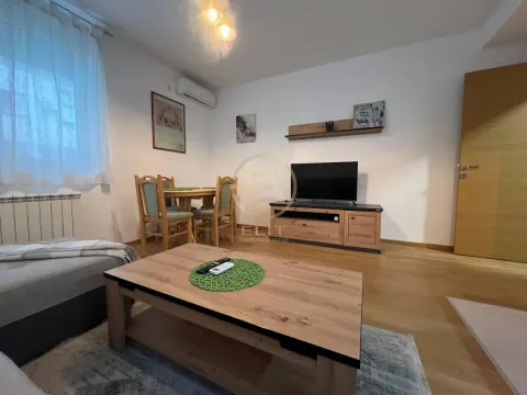Izdavanje, dvosoban stan, 39m², Rotkvarija, Novi Sad Sve Podlokacije - image 4