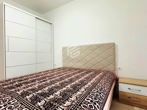 Rent, one bedroom apartment, 45m², Zabjelo, Podgorica - image 11