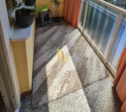 Zastakljeni balkon sa tepihom i saksijama sa cvećem. - image 14