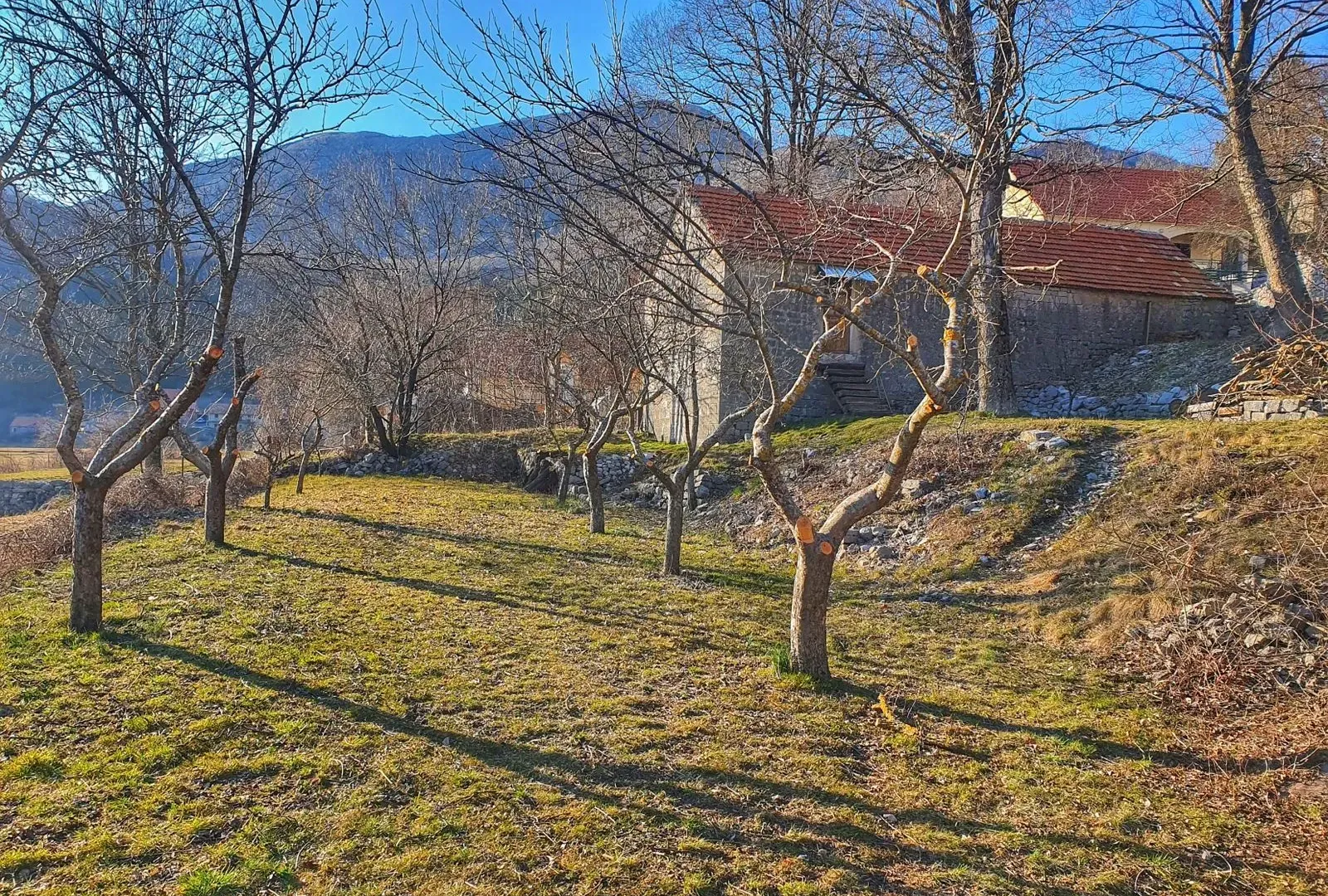 Prodaja, plac, 4984m², Njeguši, Cetinje