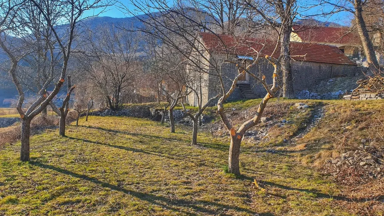 Sale, land lot, 4984m², Njeguši, Cetinje