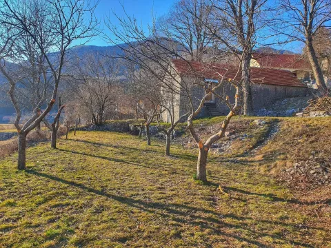 Zemljište in Njeguši