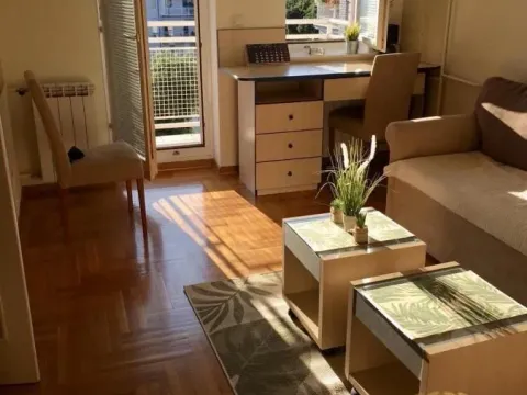 Izdavanje, dvosoban stan, 43m², Novi Beograd Sve Podlokacije, Beograd - image 4