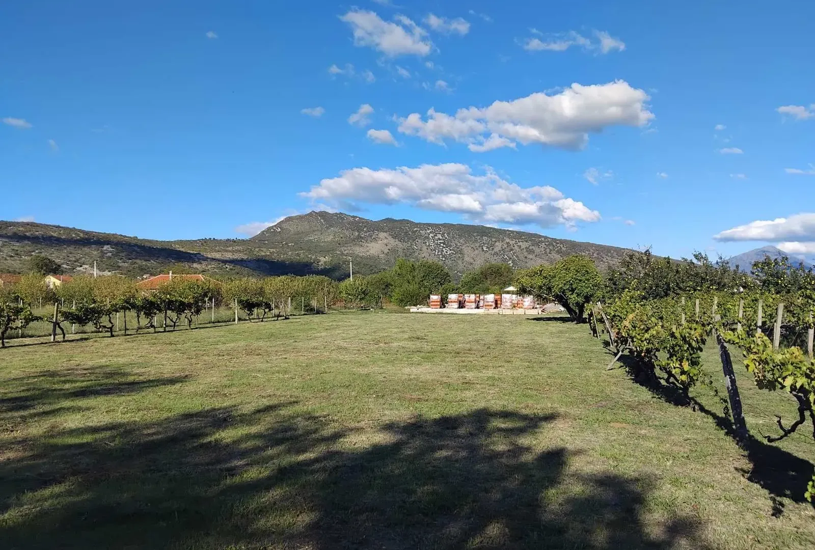 Prodaja, plac, 1520m², Beri, Podgorica