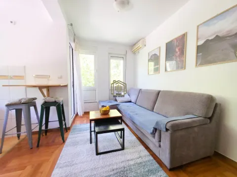 Rent, one bedroom apartment, 38m², Pod Goricom, Podgorica - image 3