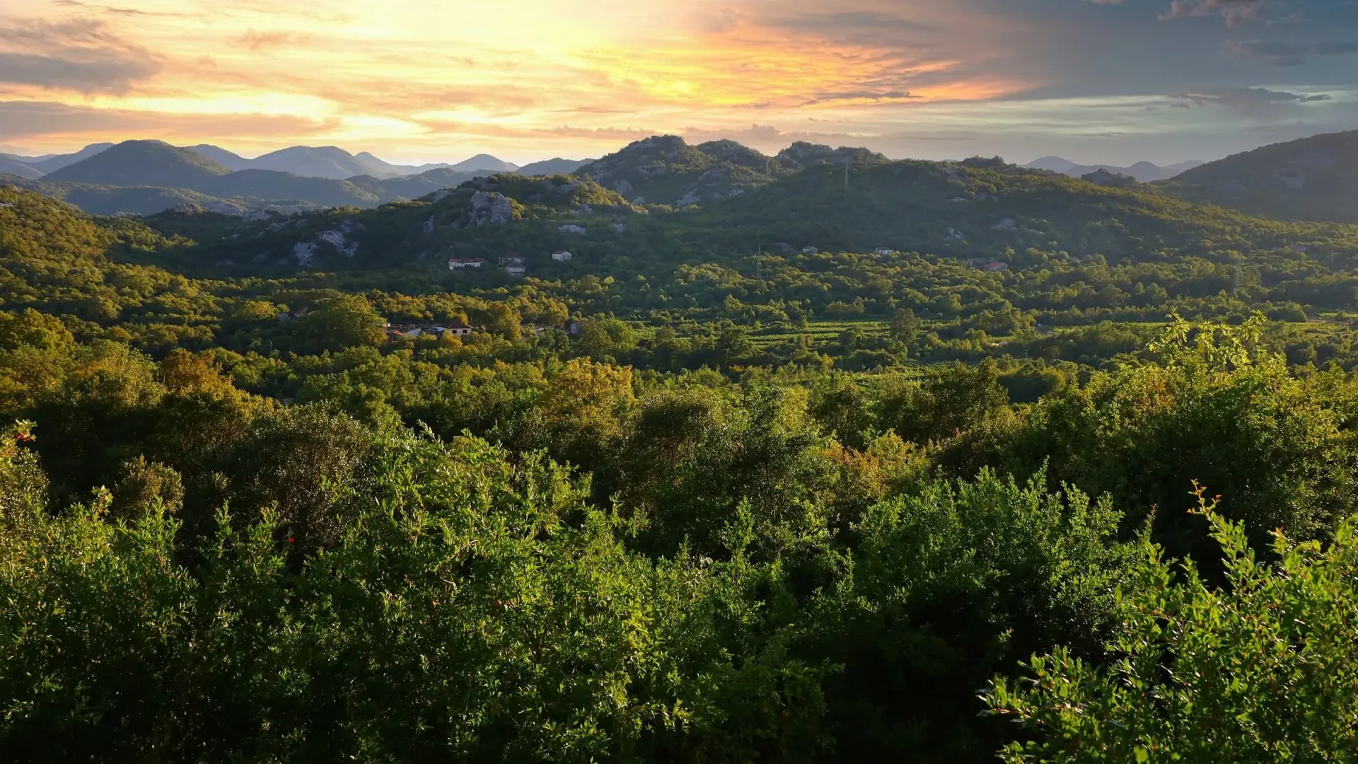 Prodaja, kuća, 200m², Drušići, Cetinje