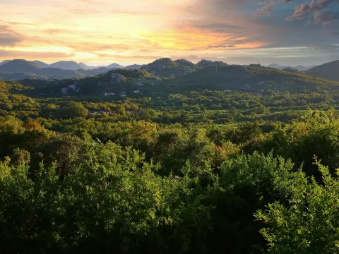 Prodaja, kuća, 200m², Drušići, Cetinje - image 18
