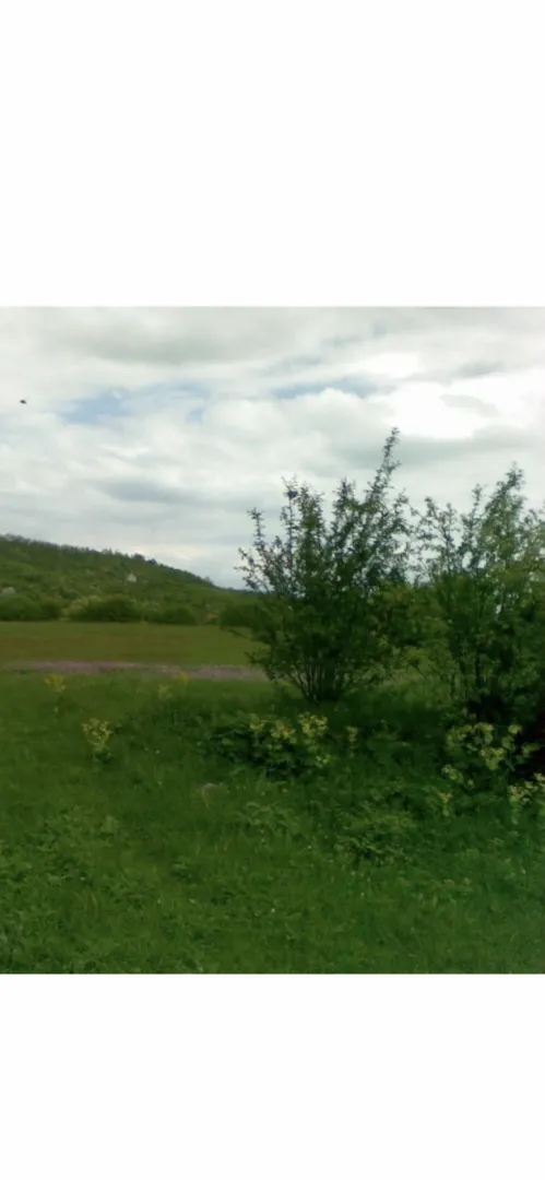Prodaja, kuća, 200m², Gostilje Martinićko, Danilovgrad