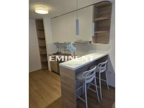 Izdavanje, stan, 48m², Šumice, Beograd - image 2