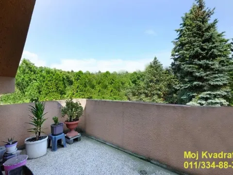 Prodaja, kuća, 250m², Dušanovac, Voždovac Sve Podlokacije - image 18