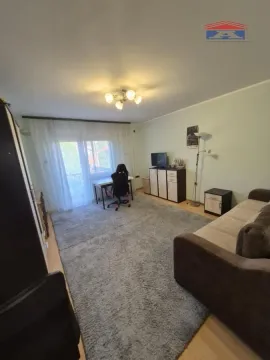 Izdavanje, kuća, 253m², Sremska Kamenica, Petrovaradin - image 7