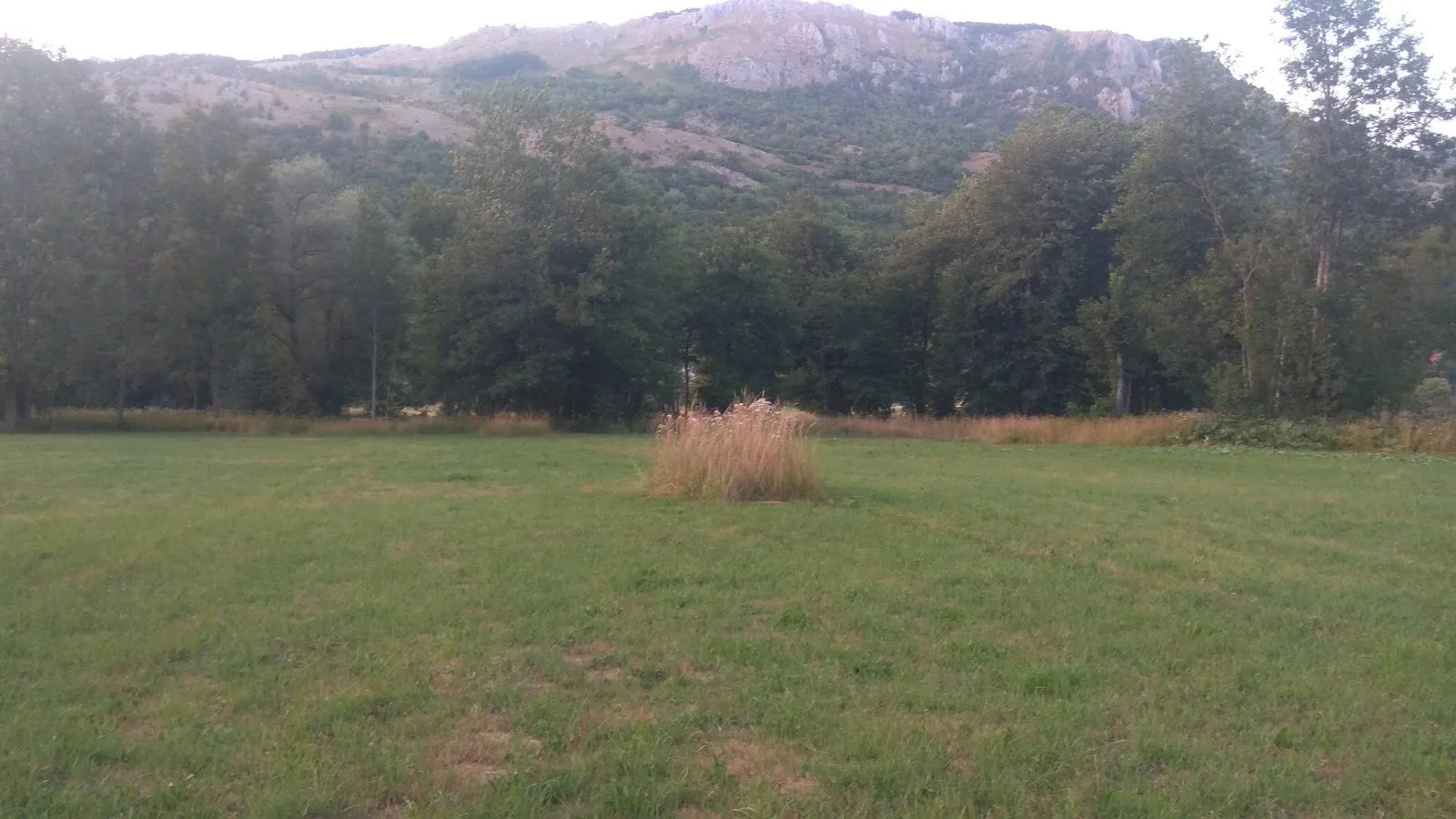 Prodaja, plac, 10000m², Kolašin, Crna Gora