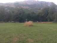 Prodaja, plac, 10000m², Kolašin, Crna Gora - image 6