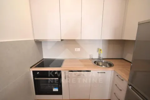 Rent, one bedroom apartment, 47m², Central Point, Podgorica - image 4